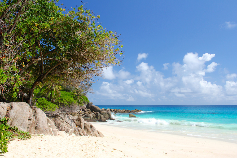 Beach at Seychelles